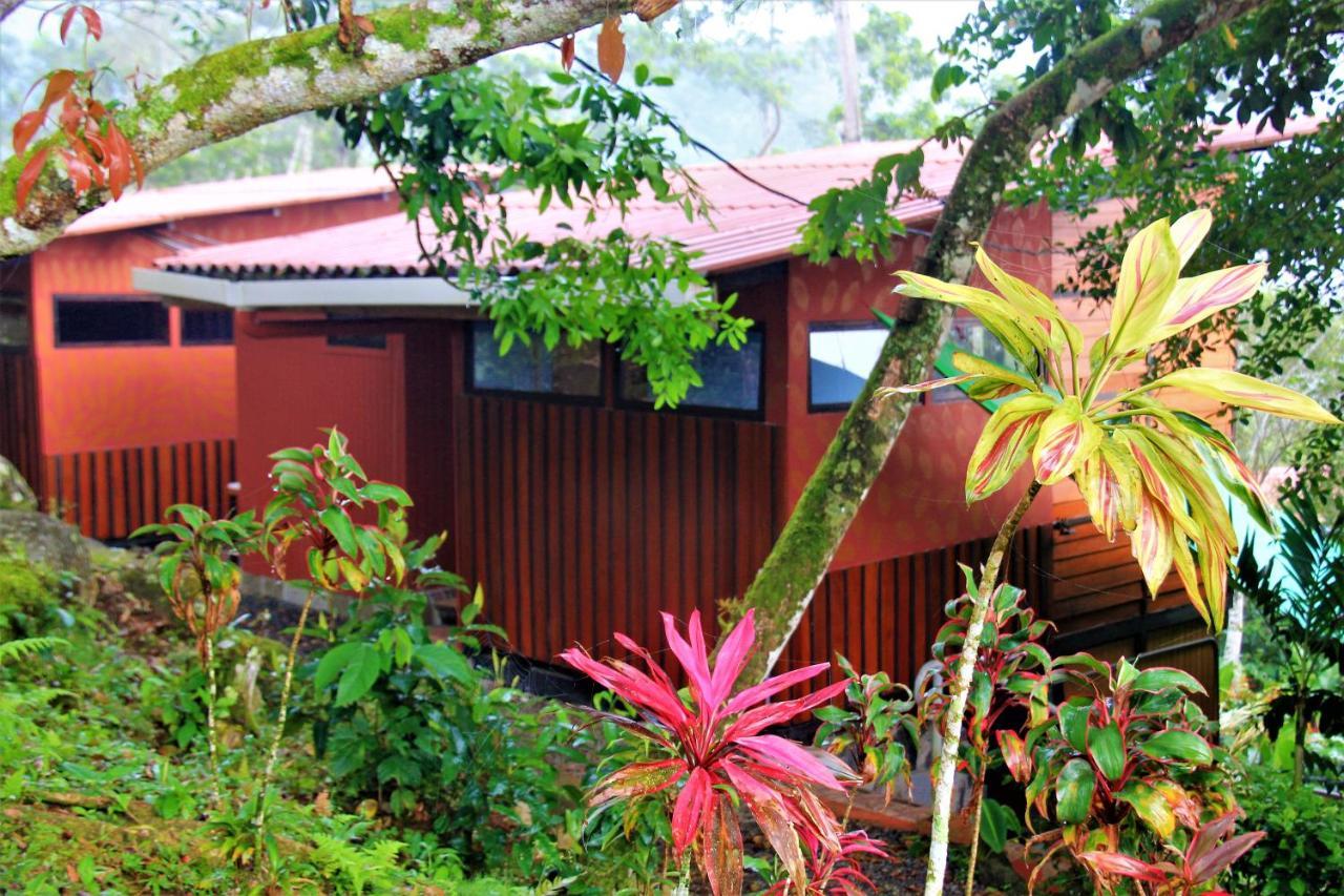 Casitas Eco Bambu Villa Картаго Екстериор снимка