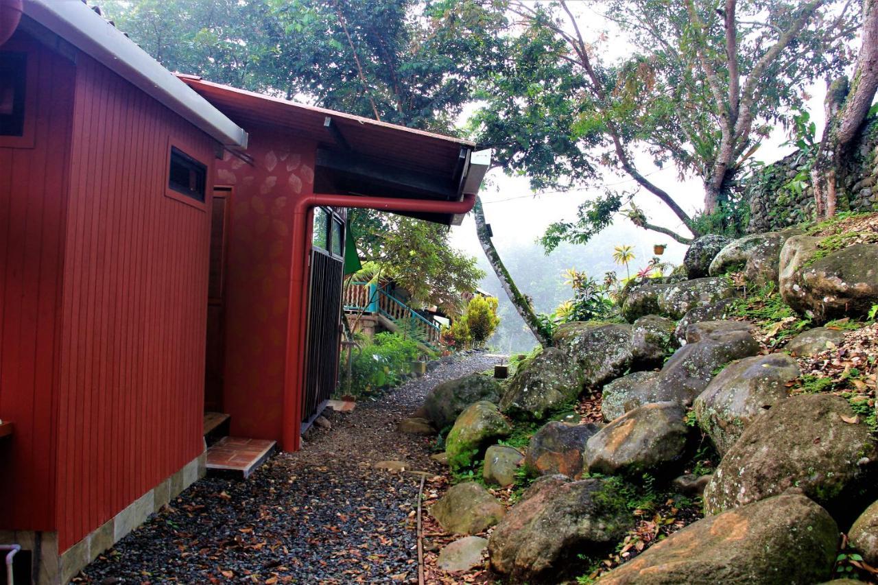 Casitas Eco Bambu Villa Картаго Екстериор снимка