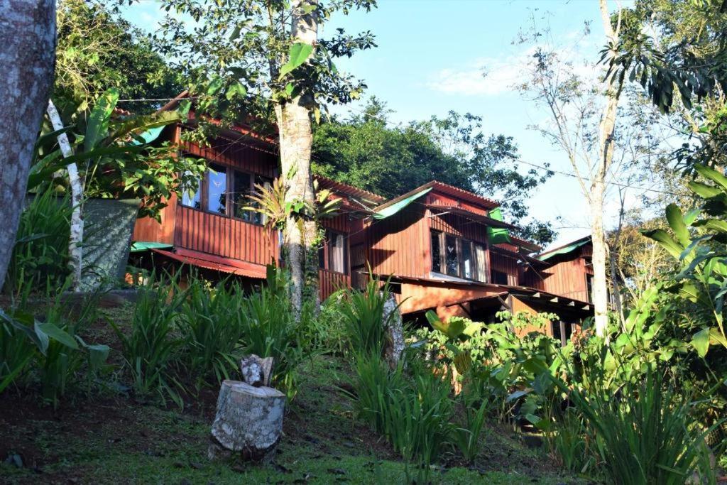Casitas Eco Bambu Villa Картаго Екстериор снимка